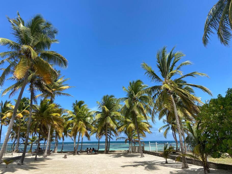 Le Cottage De Castaing Sur Plage Privee Sainte-Anne  Zewnętrze zdjęcie