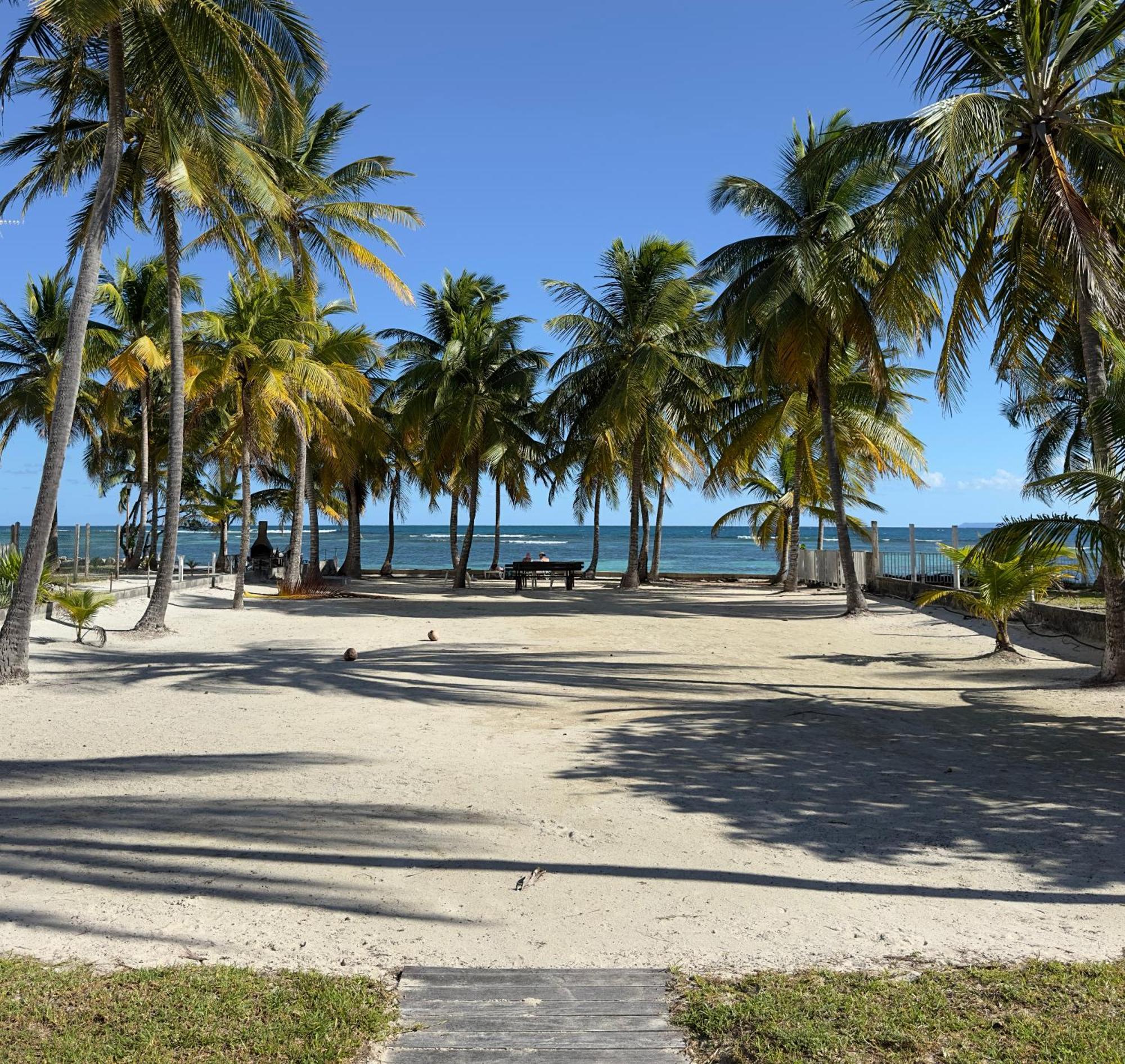 Le Cottage De Castaing Sur Plage Privee Sainte-Anne  Zewnętrze zdjęcie