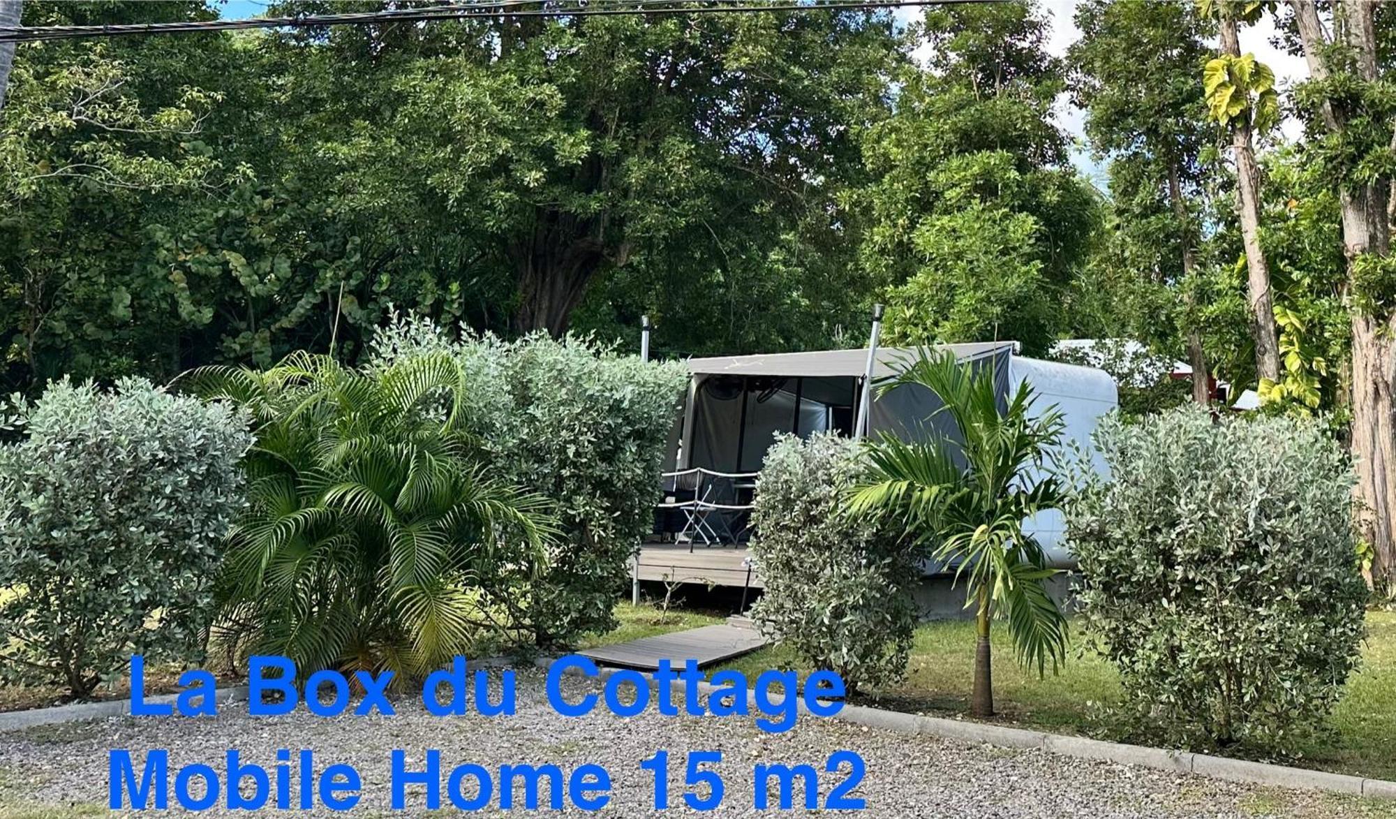 Le Cottage De Castaing Sur Plage Privee Sainte-Anne  Zewnętrze zdjęcie